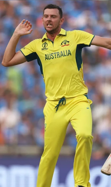 Josh Hazlewood celebrates after taking wicket