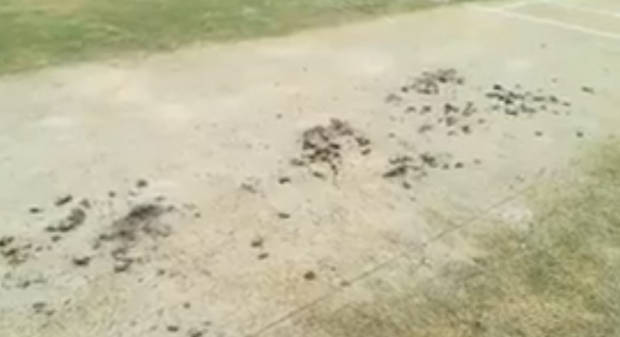 LCCA Ground pitch dug up by unidentified men in Lahore