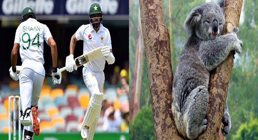 Raja offers Koala-esque inspiration to Pakistan openers