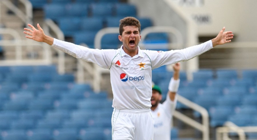 Shaheen Afridi needs support 'in and out of the dressing room': Badree
