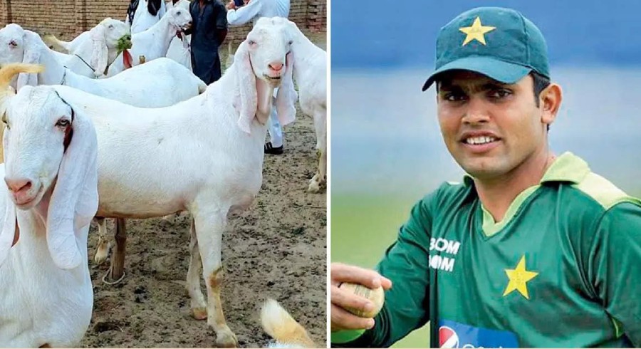 Kamran Akmal's sacrificial goat stolen from his house in Lahore