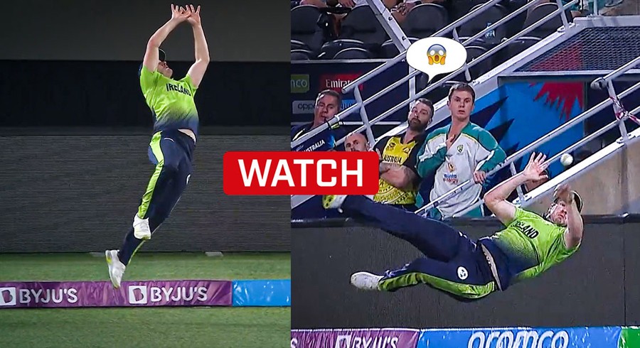 WATCH: McCarthy's incredible effort to save Stoinis' six